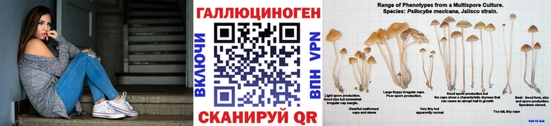 Псилоцибиновые грибы Cubensis  купить наркотики сайты  Шимановск 